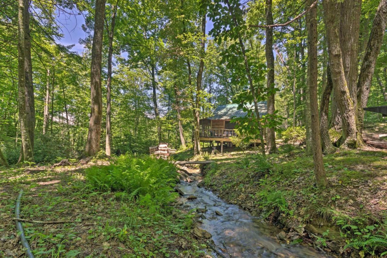 Creekside Cabin With Deck In Pisgah Forest! Barnardsville Exterior foto