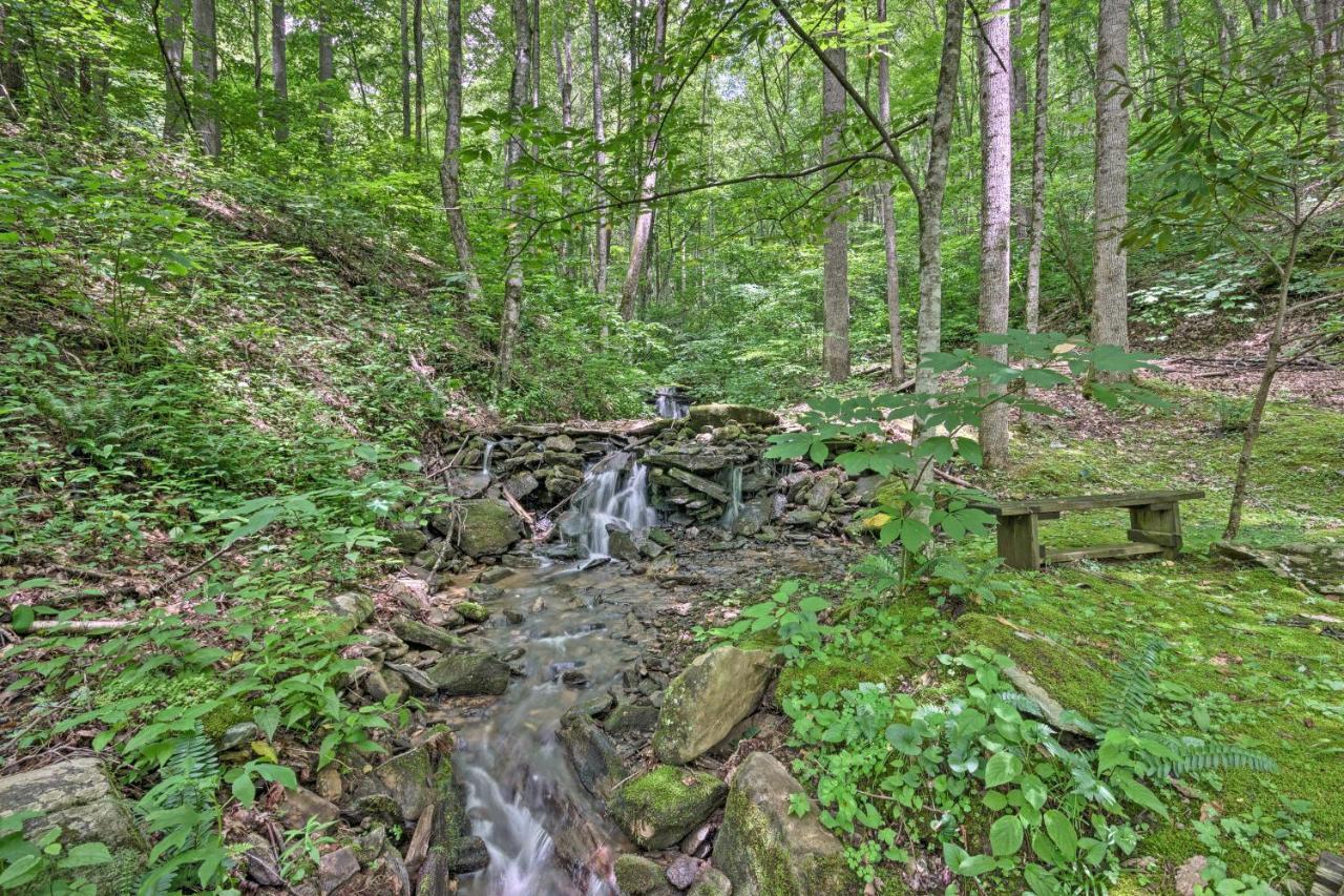 Creekside Cabin With Deck In Pisgah Forest! Barnardsville Exterior foto